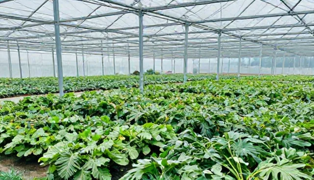 短视频策划如何适应不同平台的性能与适用条件