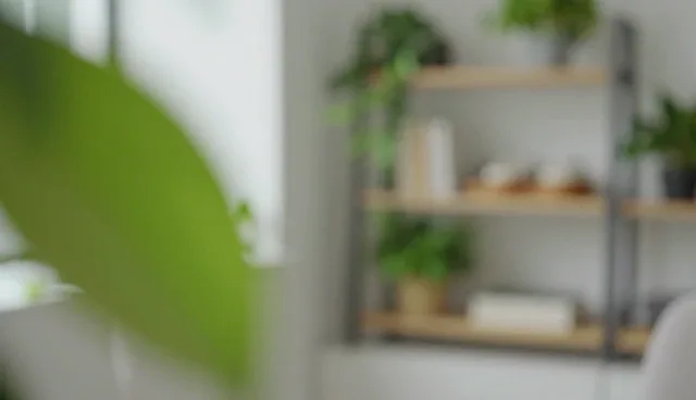 短视频策划拍摄中的执行服务关键点解析
